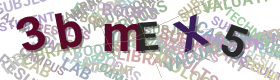 CAPTCHA code